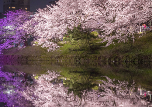 風景