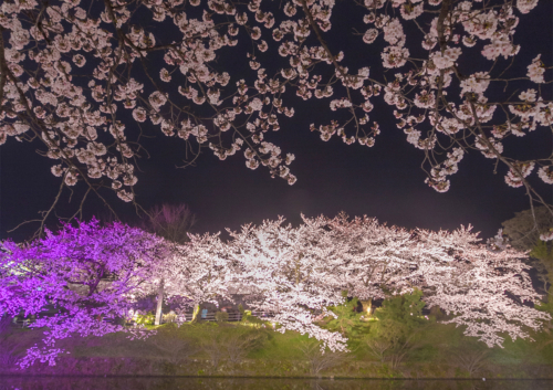 風景