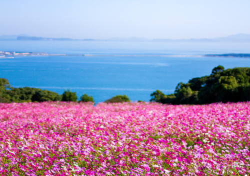 風景