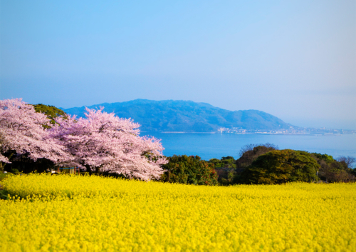 風景