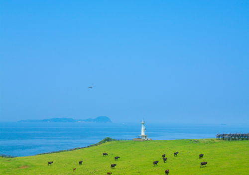 風景