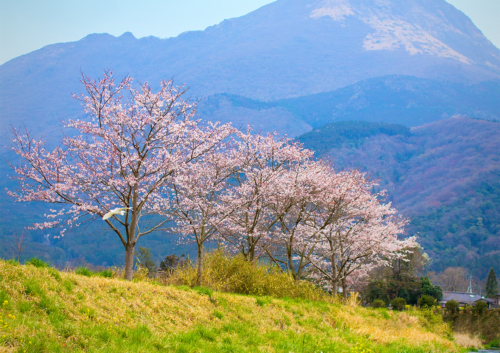 風景